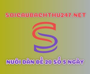 Nuôi dàn đề 20 số 5 ngày chuẩn