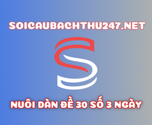 Nuôi dàn đề 30 số 3 ngày chuẩn