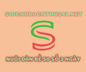 Nuôi dàn đề 50 số 3 ngày chuẩn