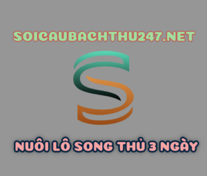Nuôi lô song thủ khung 3 ngày