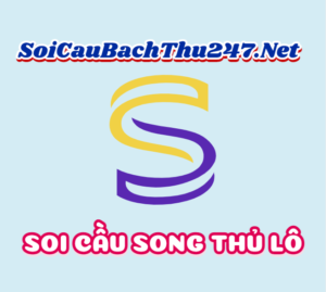 Soi cầu 24h dự đoán song thủ lô