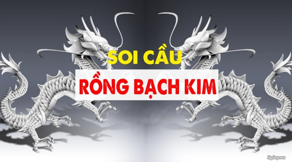 soi cầu rồng bạch kim 247
