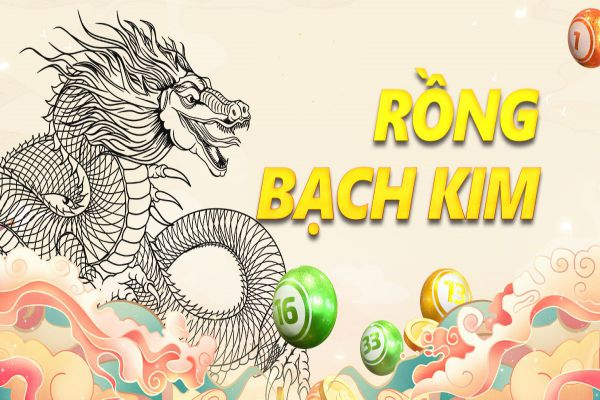 soi cầu rồng bạch kim miền bắc